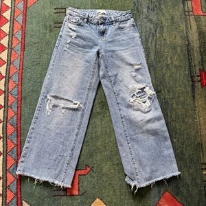 Pacsun Baggy Jeans size 22